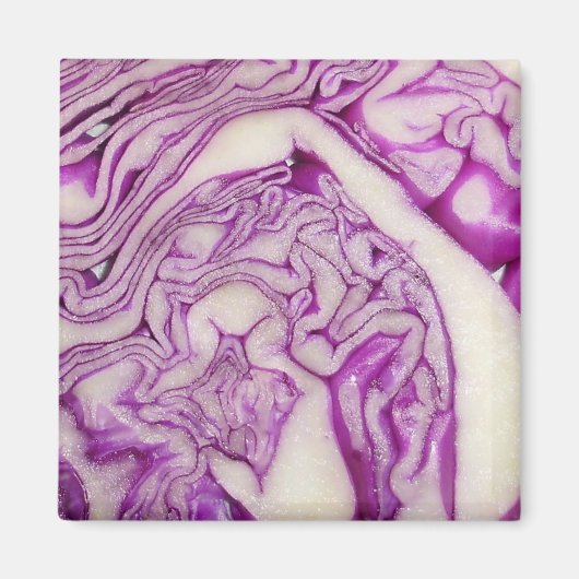 Rode kool magneet (Voorkant)