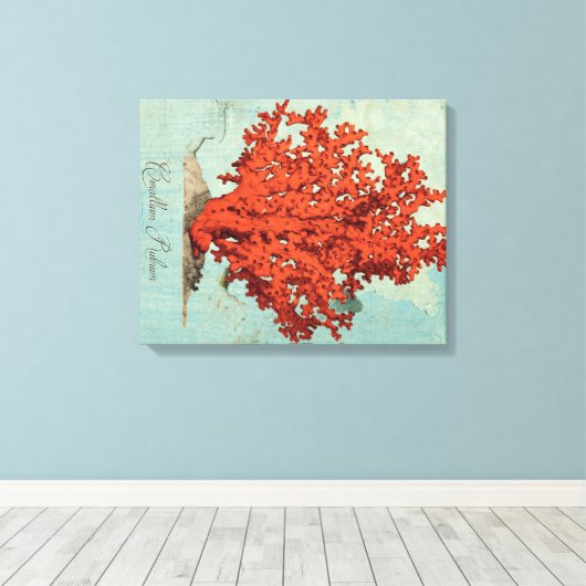 Rode Koraal Illustratie Canvas Afdruk (Insitu (Houten vloer))