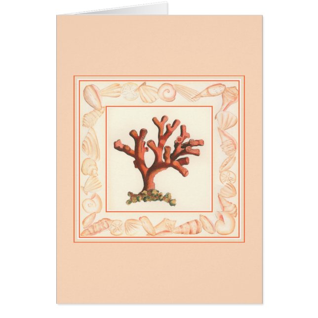 Rode koraal met de Grens van Shell van de Zeggen (Voorkant)