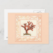 Rode koraal met de Grens van Shell van de Zeggen Briefkaart (Voorkant / Achterkant)