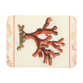 Rode koraal met de Grens van Shell van de Zeggen Magneet (Horizontaal)