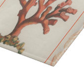 Rode koraal met de Grens van Shell van de Zeggen Snijplank (Hoek)