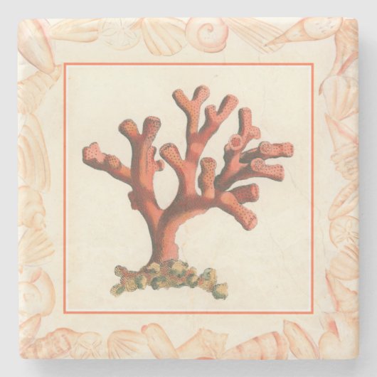 Rode koraal met de Grens van Shell van de Zeggen Stenen Onderzetter (Voorkant)