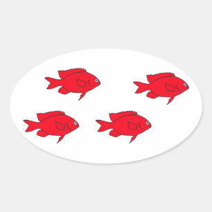 Rode koraalrif vis ovale sticker
