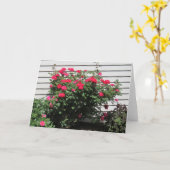 Rode Kordes Kardinaal Roos Kaart (Gele Bloem)