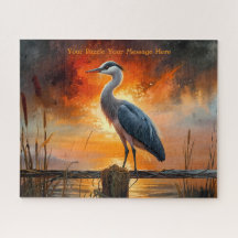 Rode Kraan Natuur Liefhebbers Moeras Landschap