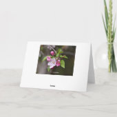 Rode krab Apple Flowers Kaart (Achterkant)