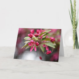 Rode krab Apple Flowers Kaart