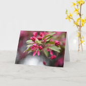 Rode krab Apple Flowers Kaart (Gele Bloem)