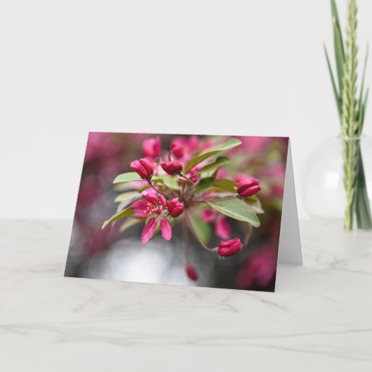 Rode krab Apple Flowers Kaart (Voorkant)