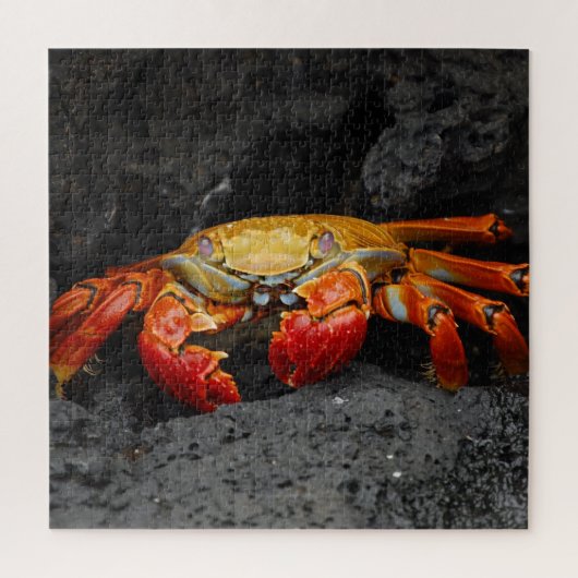 Rode Krab Jigsaw Puzzel (Verticaal)
