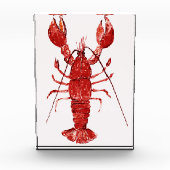 Rode kreeft fotoblokken (Voorkant)