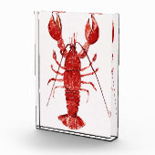 Rode kreeft fotoblokken (Rechts)