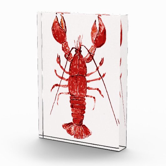 Rode kreeft fotoblokken (Rechts)