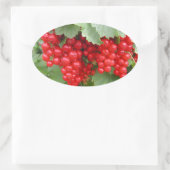 Rode Krommen op het Plant. Groene bladeren. Ovale Sticker (Tas)