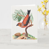 Rode kruisbek vogel, kaart (Gele Bloem)
