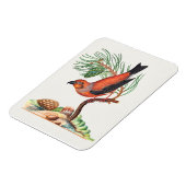 Rode Kruisbek vogel, Magneet (Linkerzijde)