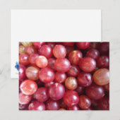 Rode kruisbessen, foto-briefkaart briefkaart (Voorkant / Achterkant)