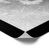 Rode Kruishond in Italië 1909 Poster (Hoek)