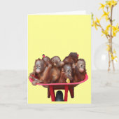 rode kruiwagen-orang-oetans kaart (Gele Bloem)