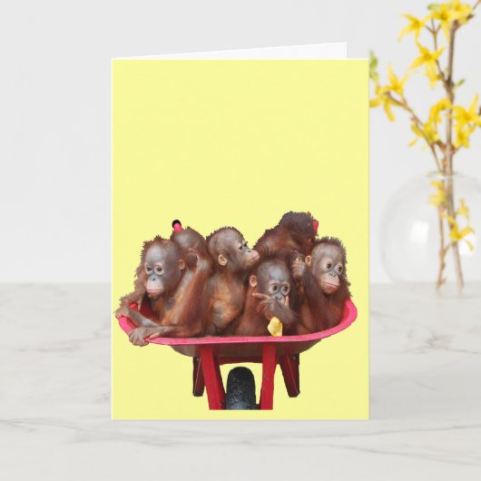 rode kruiwagen-orang-oetans kaart (Gele Bloem)