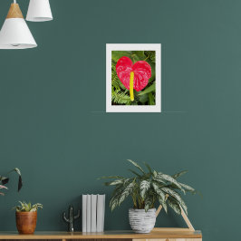 Rode Laceleaf Bloem Bloem Fotografie Poster