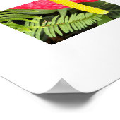 Rode Laceleaf Bloem Bloem Fotografie Poster (Hoek)