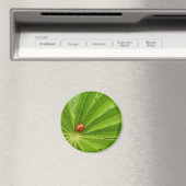 Rode Ladybird op Lupin Leaf Magnet (Insitu (Vaatwasser))