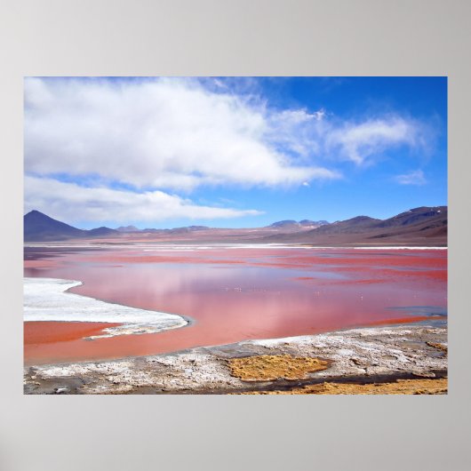 Rode lagune, Laguna Colorada in het poster van Bol (Voorkant)
