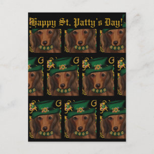 Rode Langharige Dachshond Briefkaart