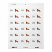 Rode Langharige Dachshund Lieve Cartoon Hond & Tek Etiket (Full Sheet)