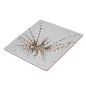 Rode langoest (Pterois volitans) Tegeltje (Zijkant)