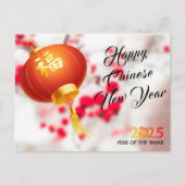 Rode Lantaarn Jaar van de Slang Lunar Nieuwjaar 20 Feestdagenkaart (Voorkant)