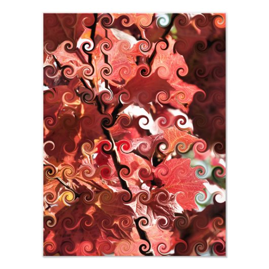 RODE LEAVES FOTO AFDRUK (Voorkant)