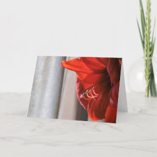 Rode Leeuw Amaryllis Bloem Nieuwjaarskaart Feestdagen Kaart