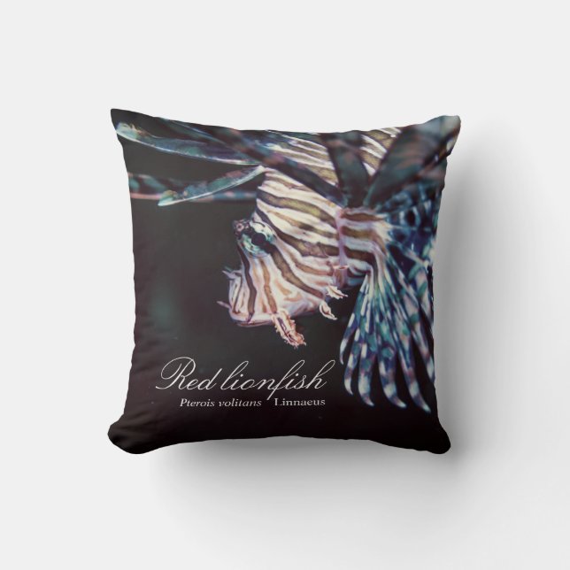 Rode leeuwenvis (Pterois volitans ,Linnaeus, 1758) Kussen (Voorkant)