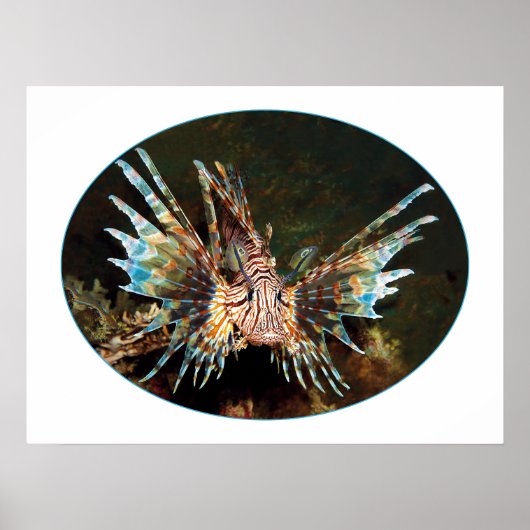 Rode Leeuwvis, Raja Ampat - Fotografisch ontwerp | Poster (Voorkant)