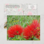Rode Lehua-bloemen in Maui Briefkaart (Voorkant / Achterkant)