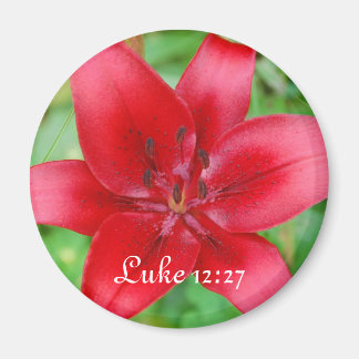Rode Lelie Magneet Luke 12:27