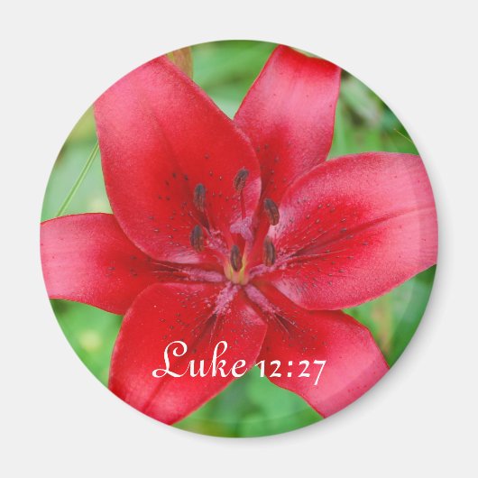 Rode Lelie Magneet Luke 12:27 (Voorkant)