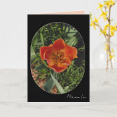rode lentebloem kaart (Gele Bloem)