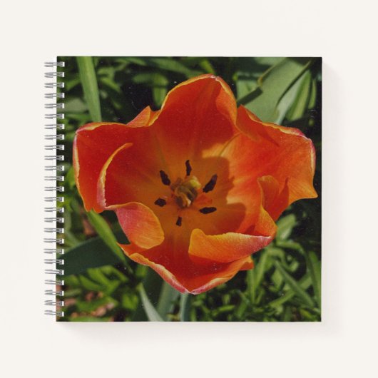 rode lentebloem  notitieboek (Voorkant)