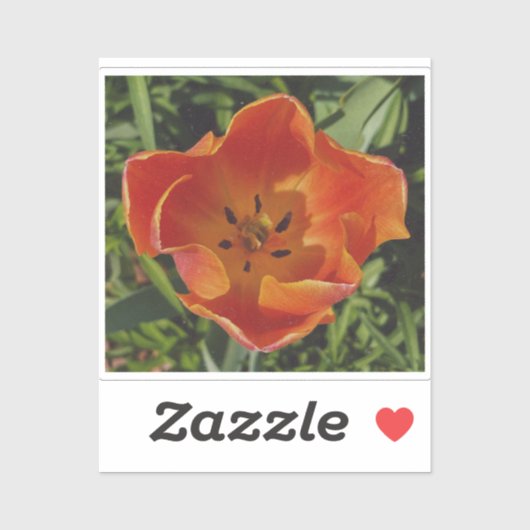 rode lentebloem sticker (Vel)