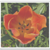 rode lentebloem sticker (Voorkant)