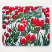 Rode lentetulpen in sneeuw muismat (Voorkant)