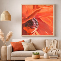 Rode Levendige Klaproos Bloem Fotografie door Megg