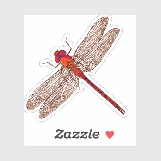 Rode libel contour sticker (Vel)