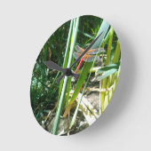 Rode Libel die zich op een Blad vastklampen Ronde Klok (Hoek)