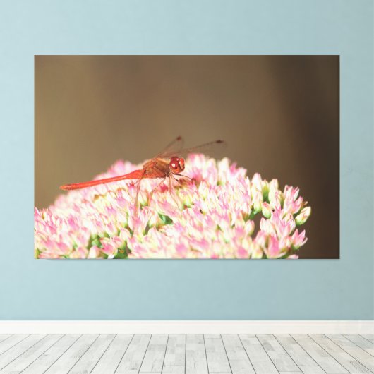 Rode libel foto canvas afdruk (Insitu (Houten vloer))