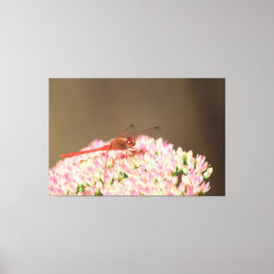 Rode libel foto canvas afdruk